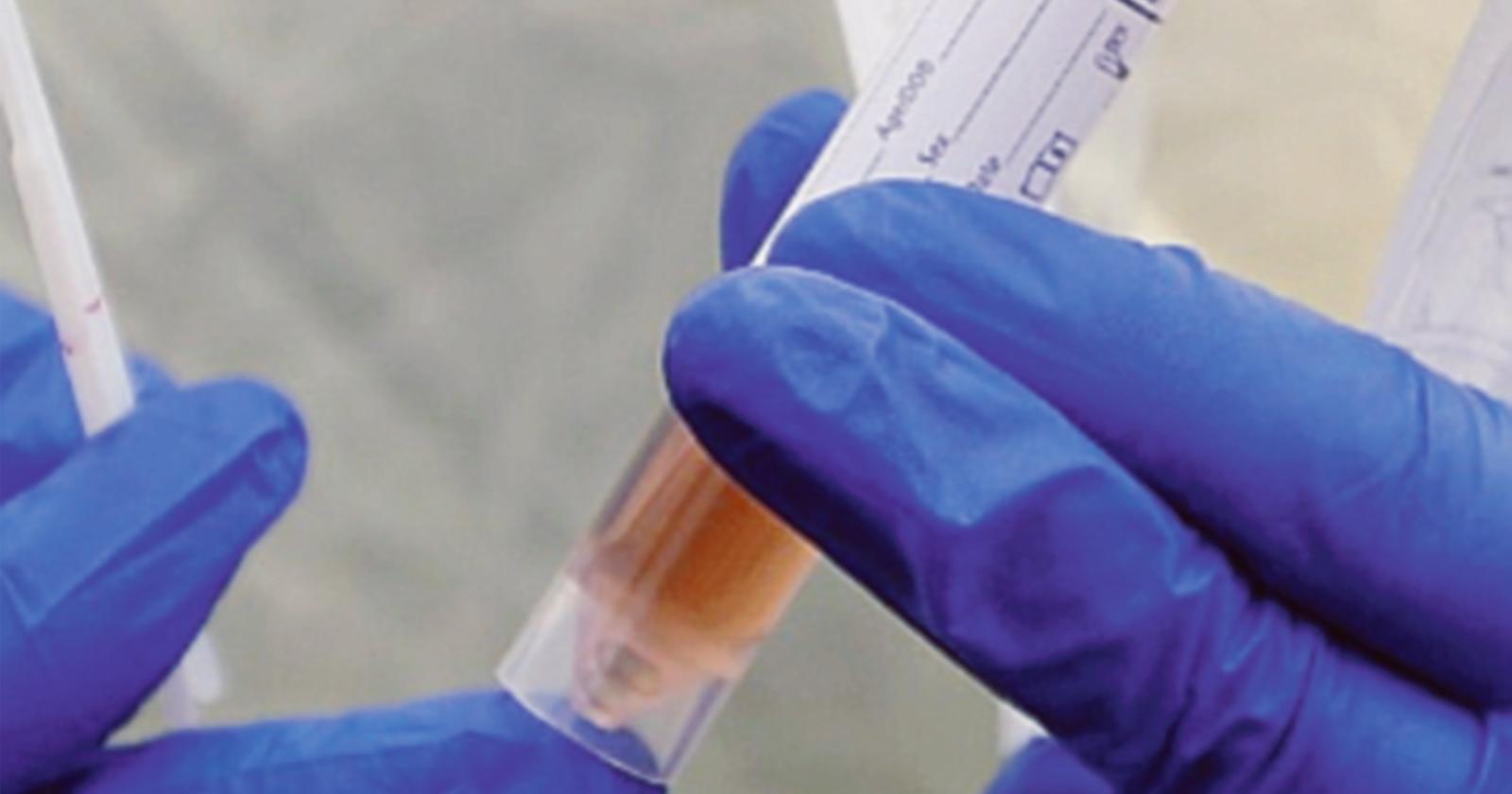 Coronavirus, una materna paritaria in quarantena