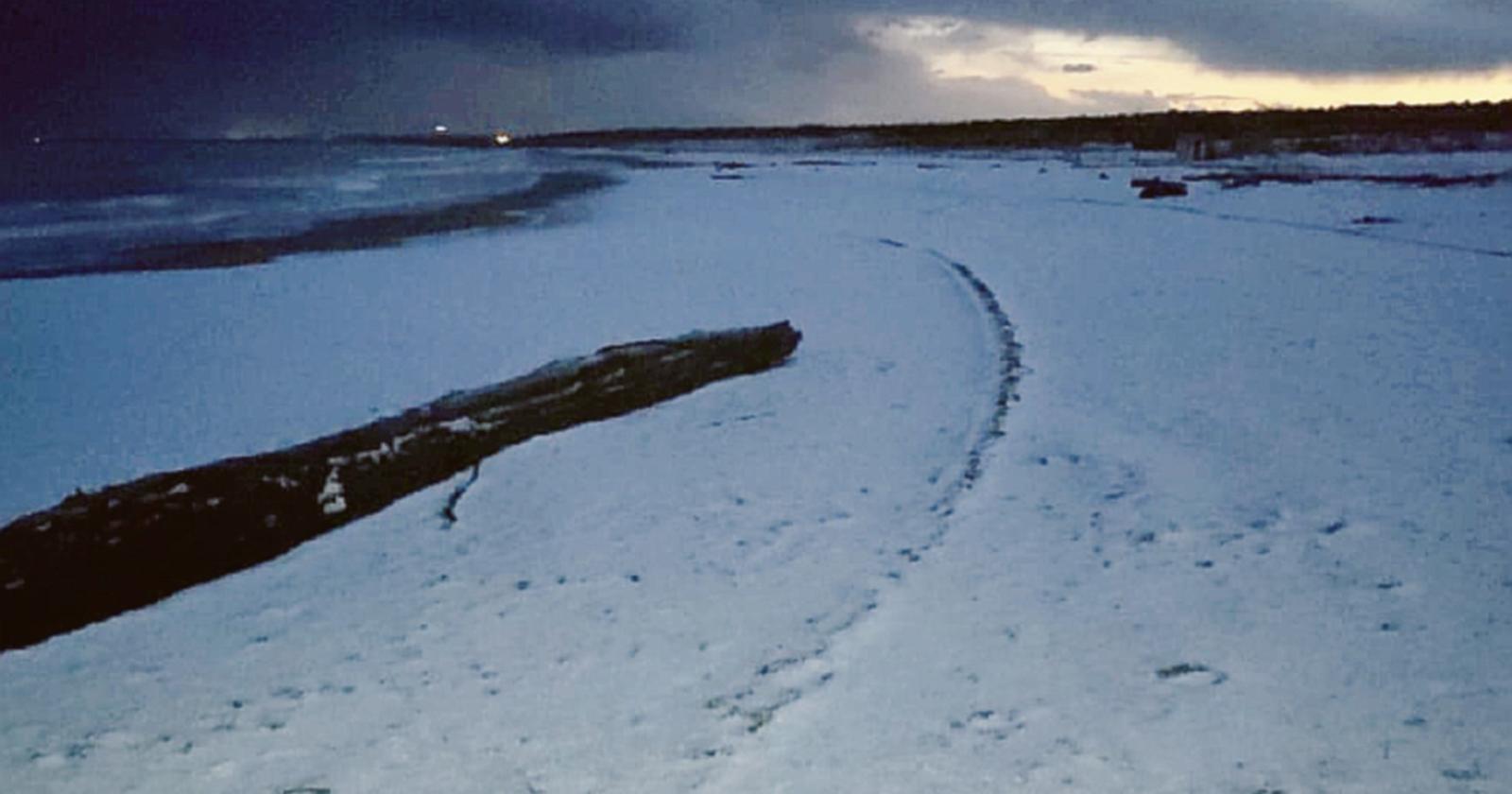 Lo spettacolo della neve al mare