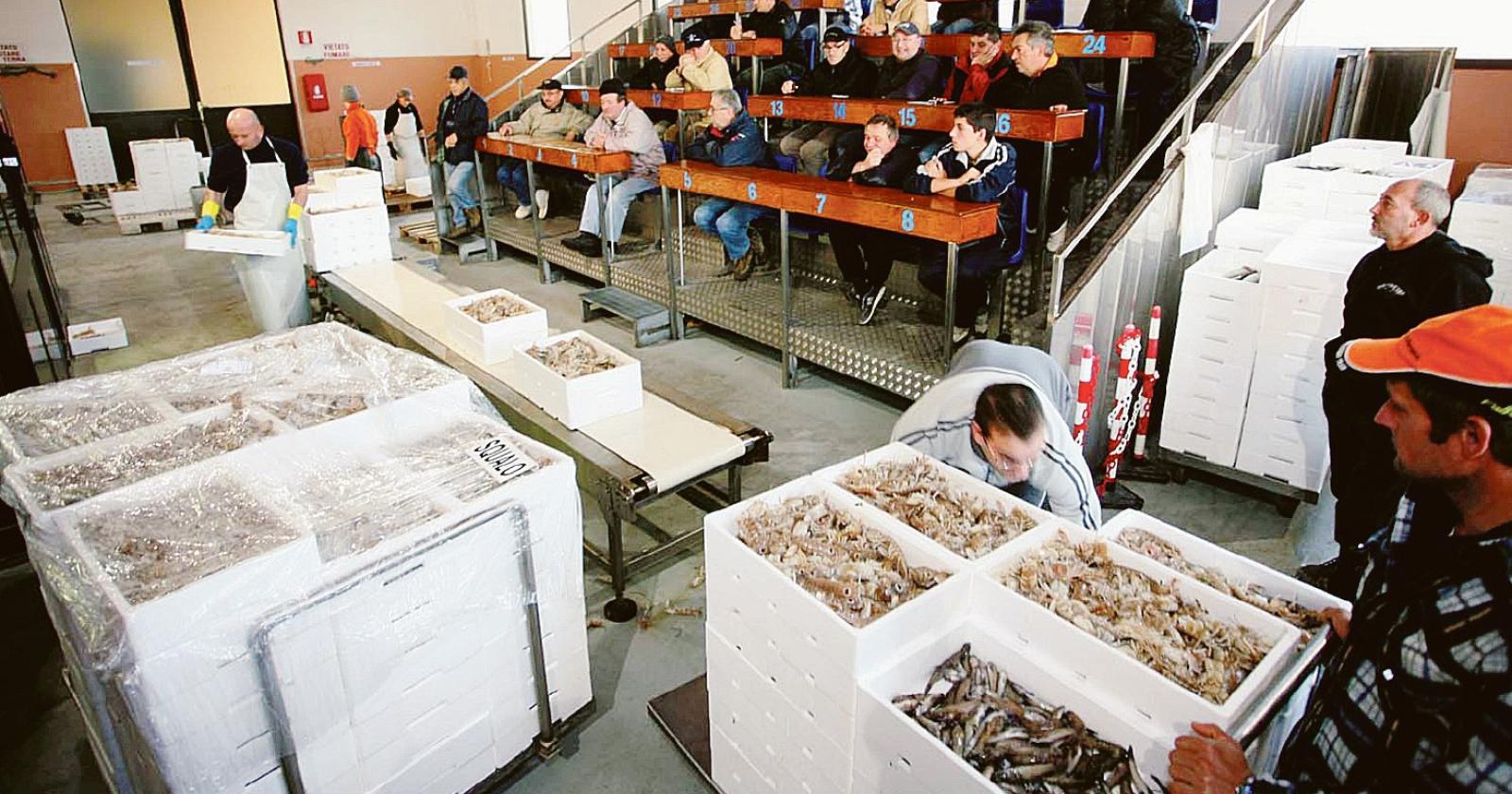 Pandemia, zavorra della pesca. Un anno con il freno a mano tirato
