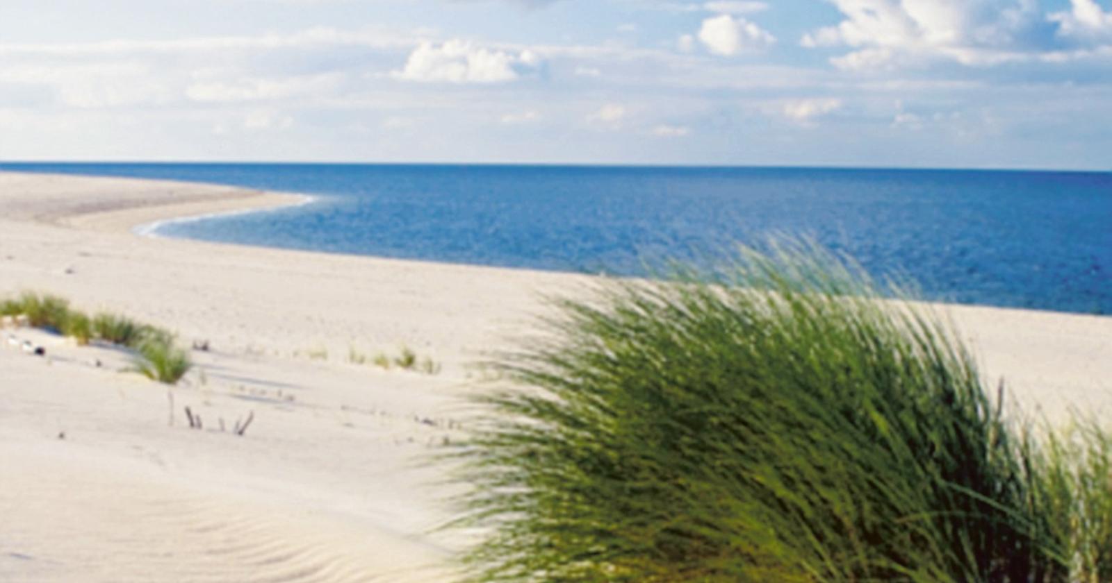 Tutti  a pulire la spiaggia a San Valentino, per amore del nostro mare