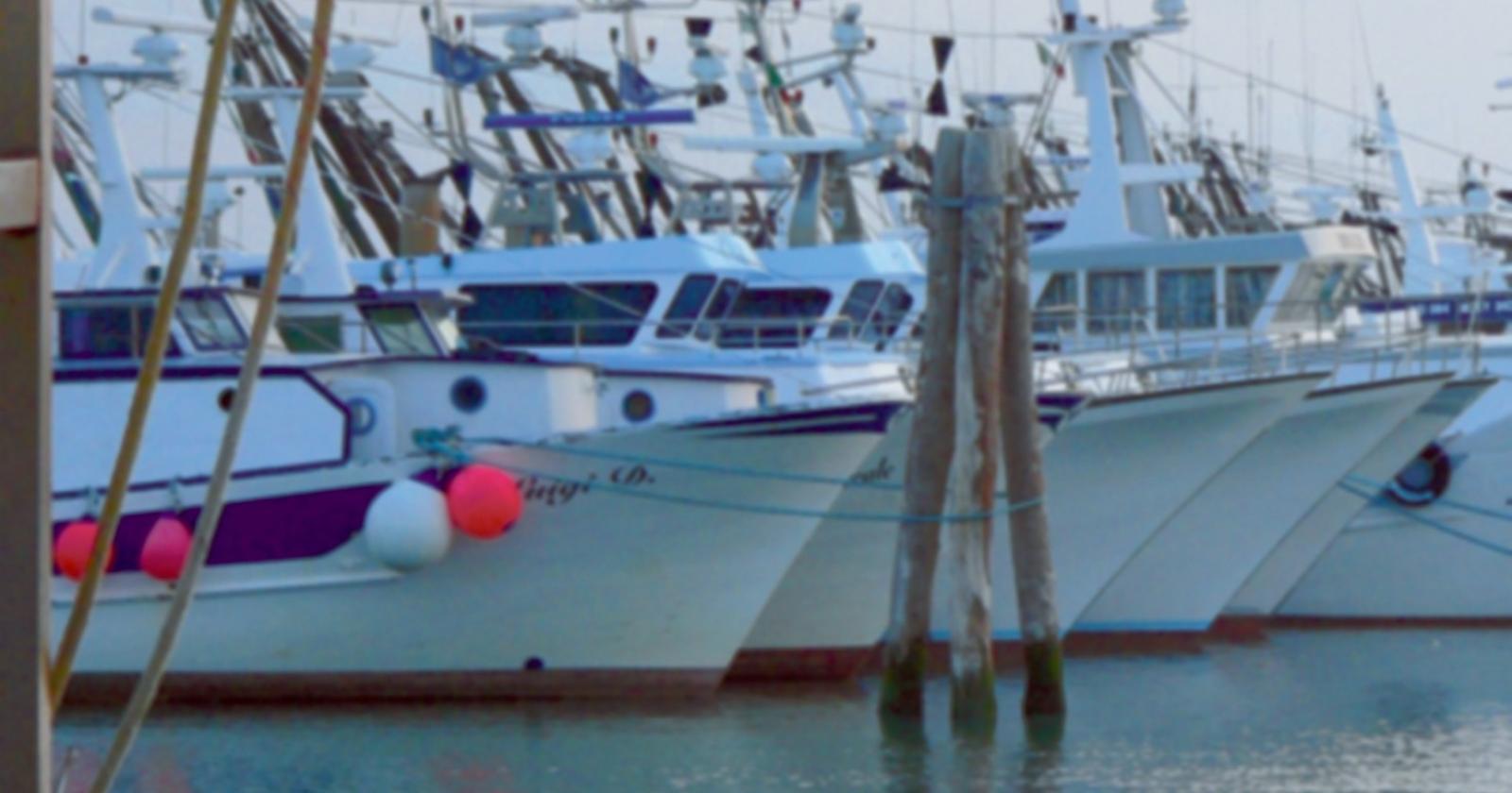 “Raddoppio del fermo pesca: rovinoso”