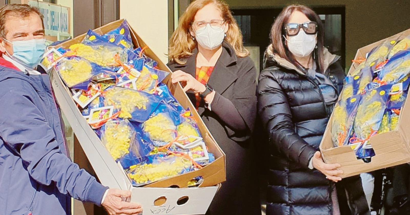 Invasione di mimose alla Casa Albergo