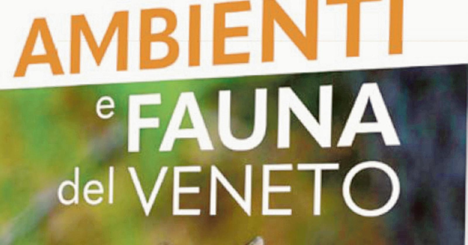 Animali e panorami del Veneto