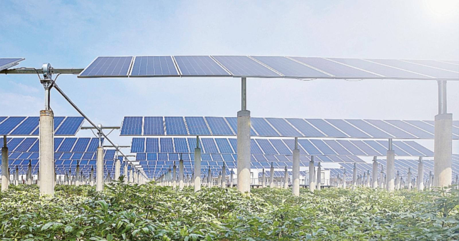 Agrivoltaico, l’impianto salva-terreni