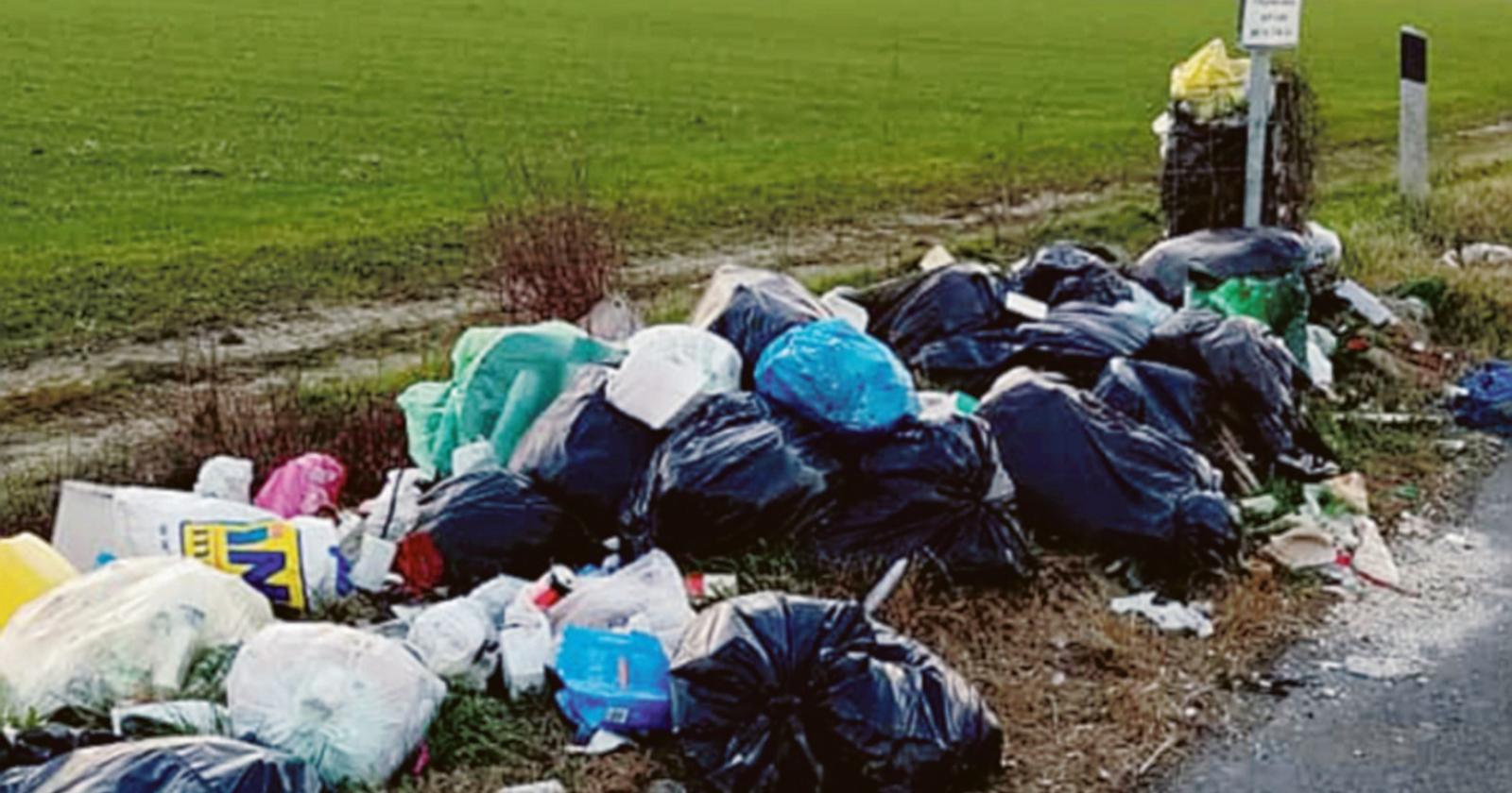 “Fototrappole in Transpolesana contro i vandali delle piazzole”