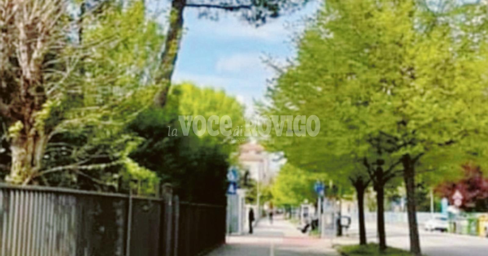 Processionaria in via Tisi