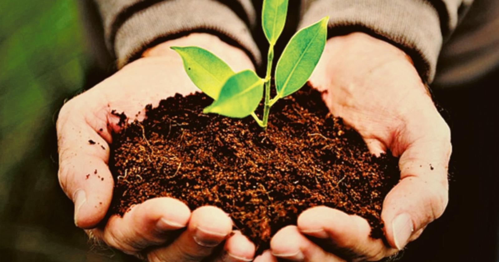 Veritas regala compost