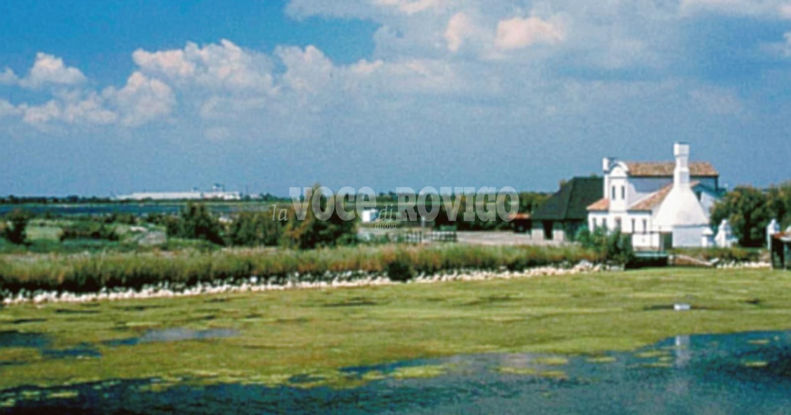 Il Parco del Delta comincia ad Occhiobello