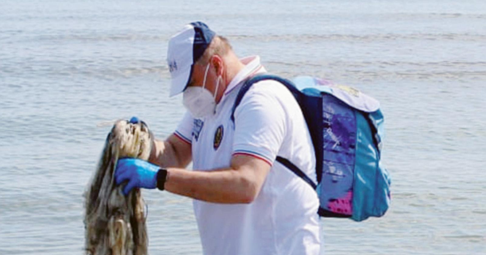 Cavalieri dell’ambiente in spiaggia