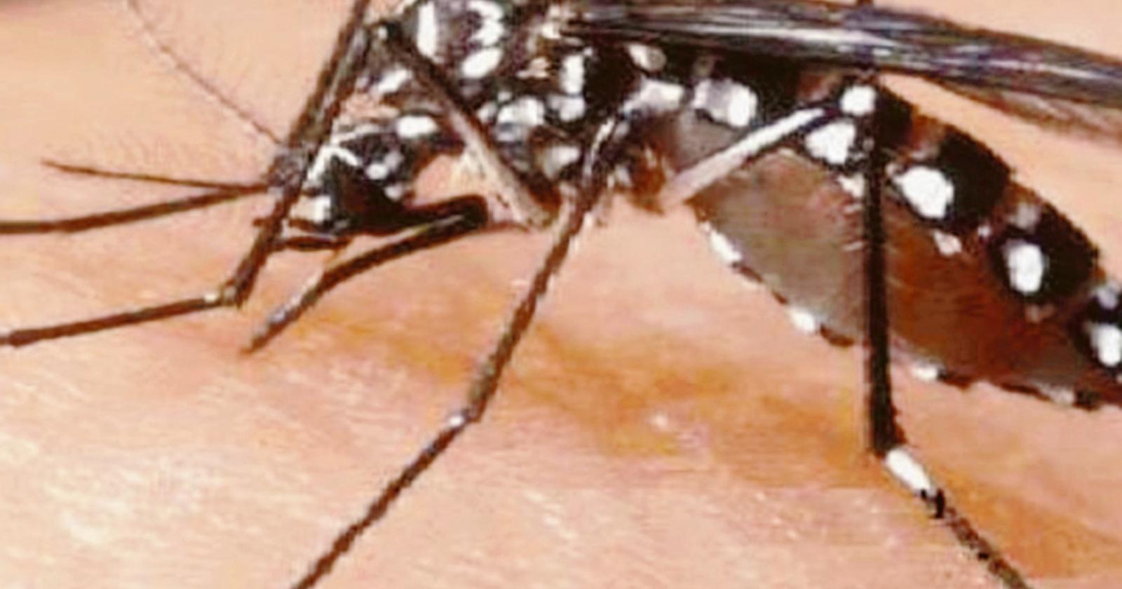 Sperimentazione anti zanzara