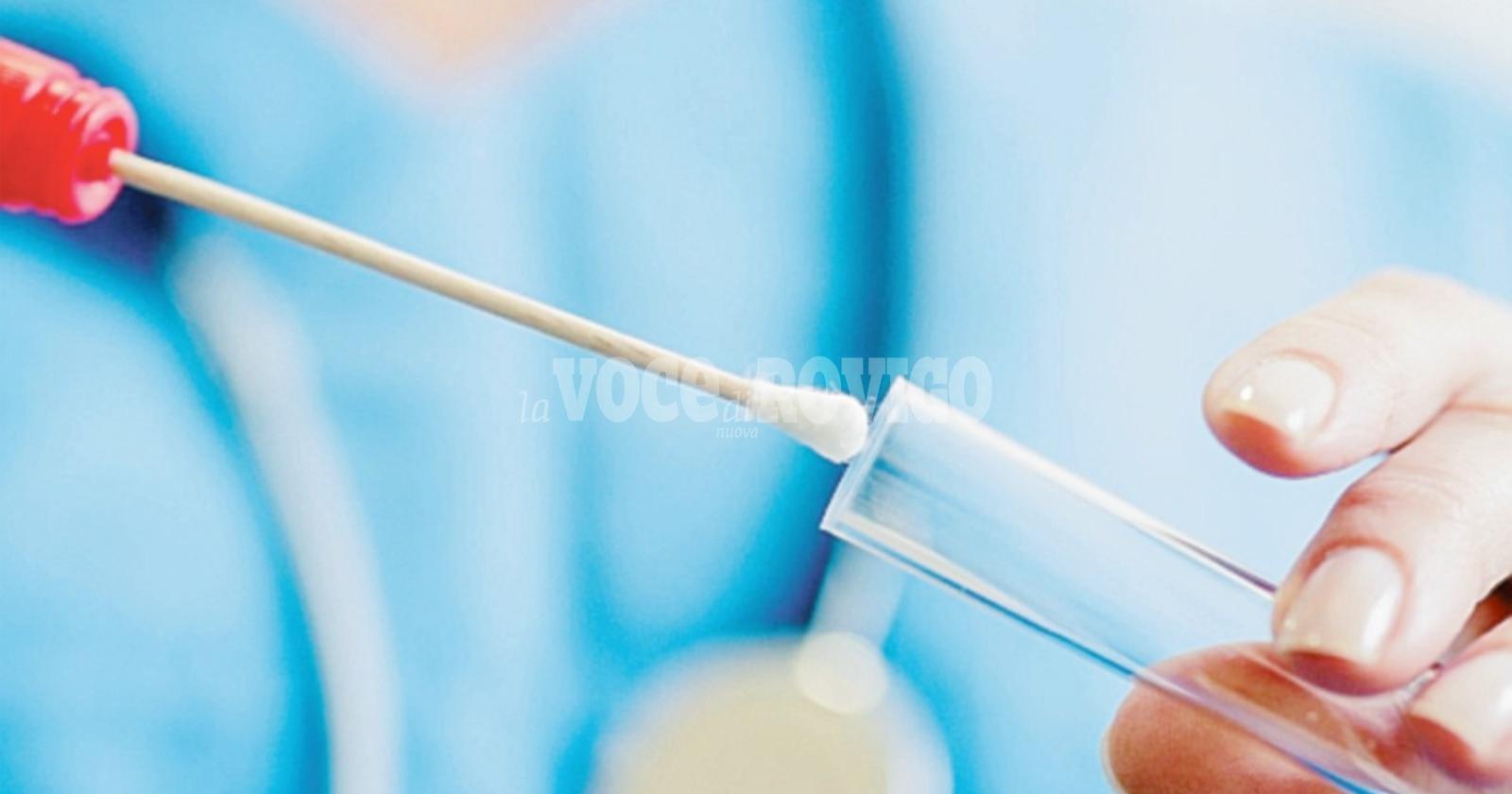 badia polesine  rovigo  coronavirus  contagio  emergenza  
