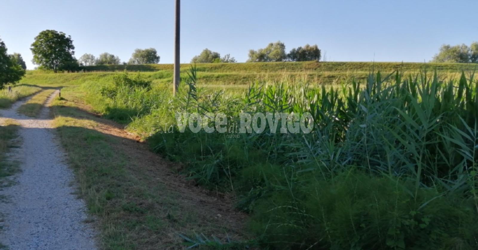 ambiente  badia polesine  villafora  frazioni  fontanazzo  adige  
