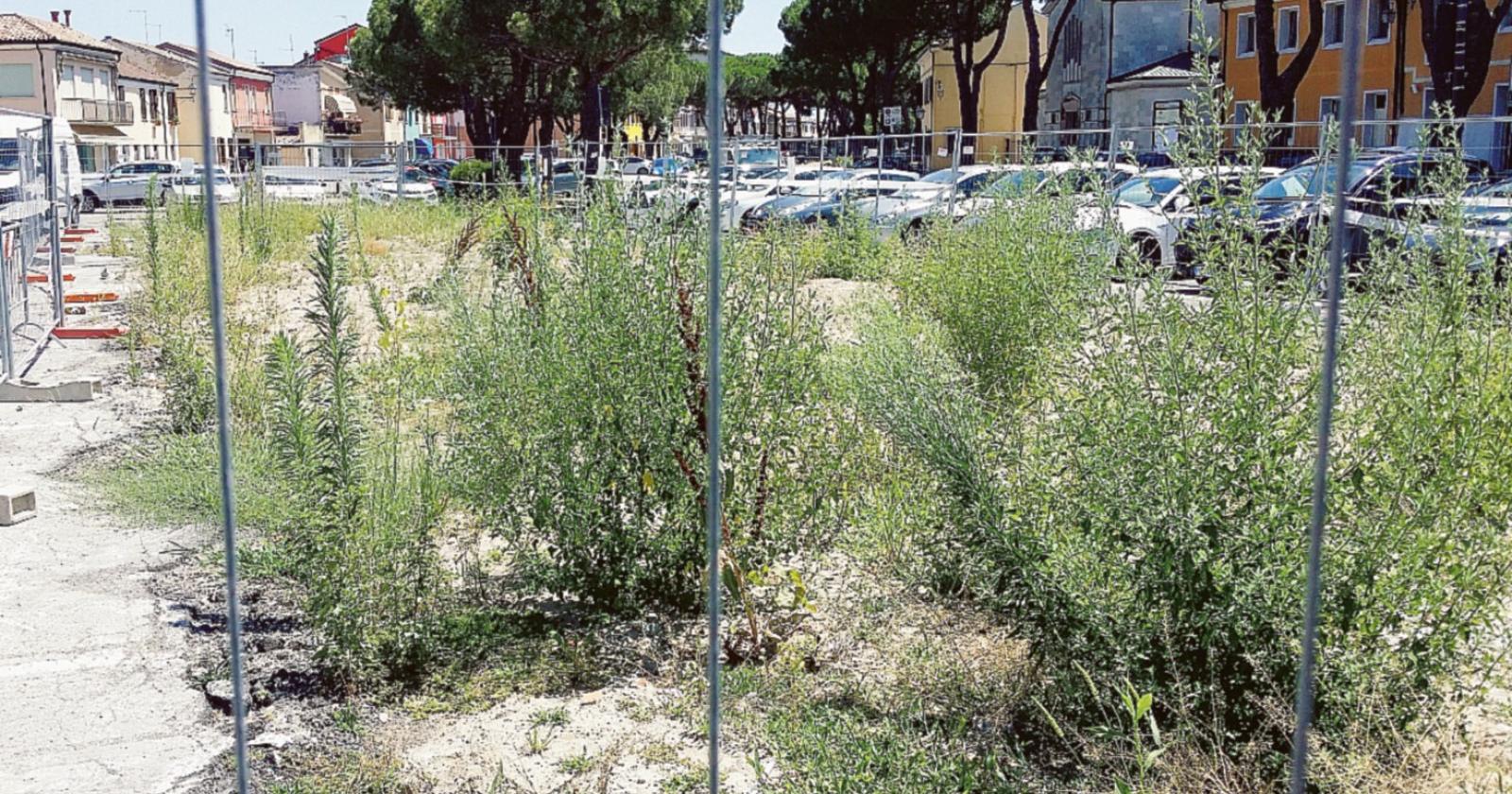 Ex Pescheria, regna l’incuria