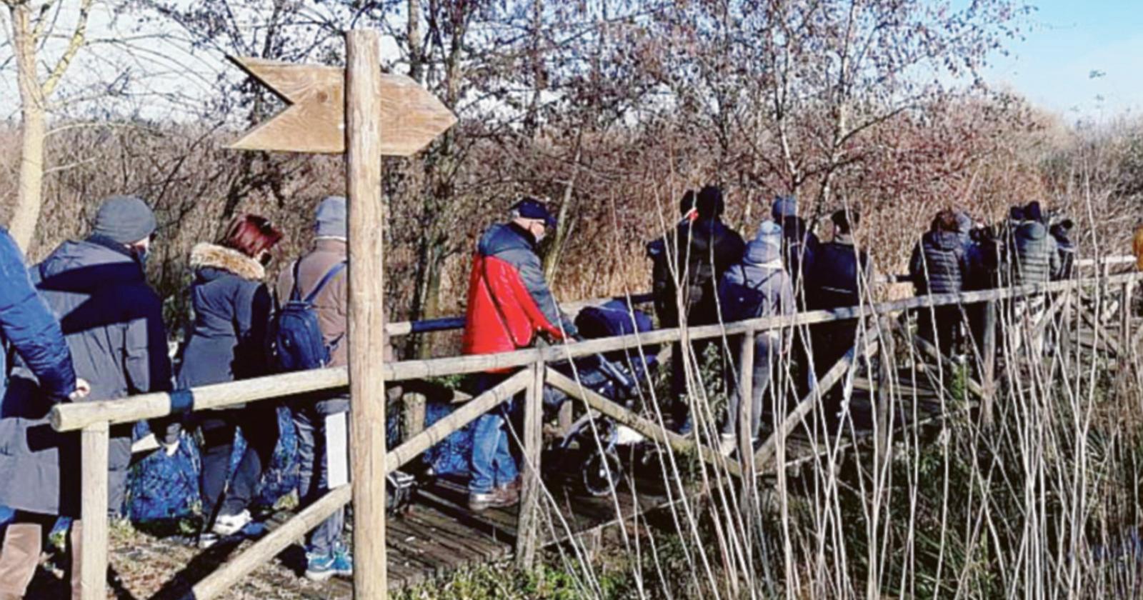 “Boschi a Natale”, viaggio nella natura