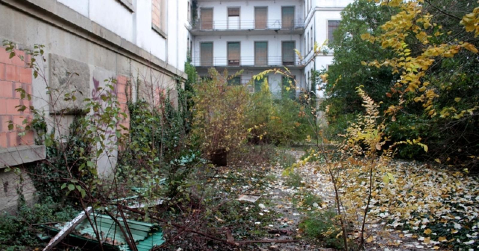Ospedale Maddalena 10