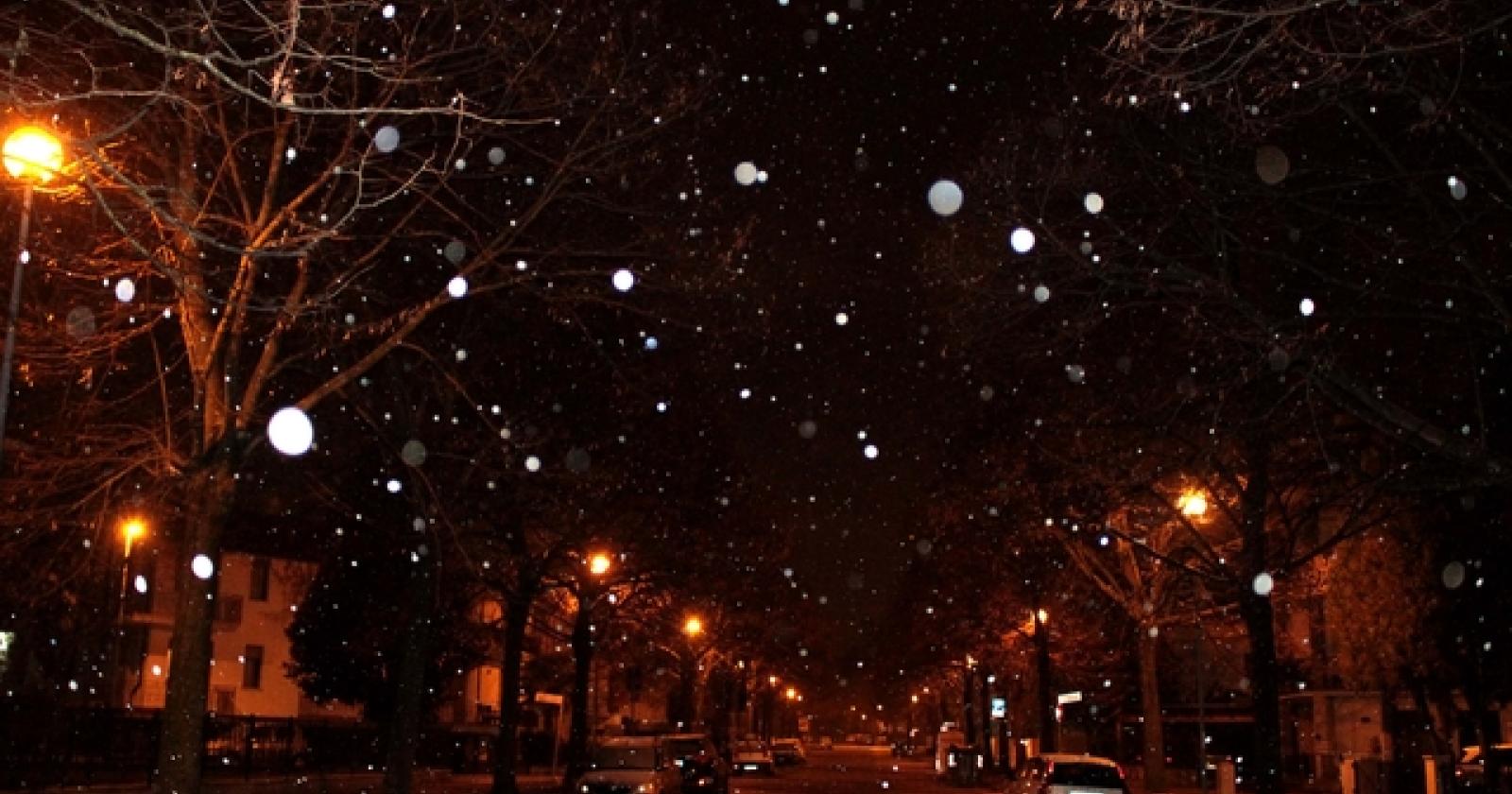Neve