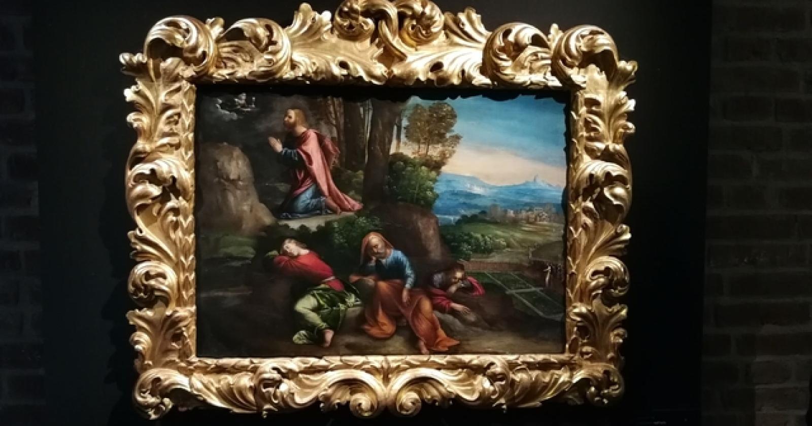 Il Muvig di Canaro (11)