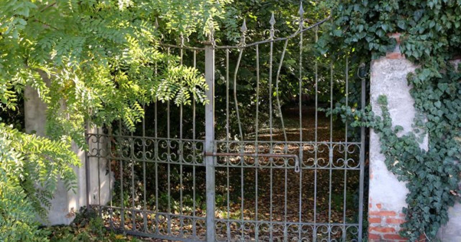 Parco Langer 10