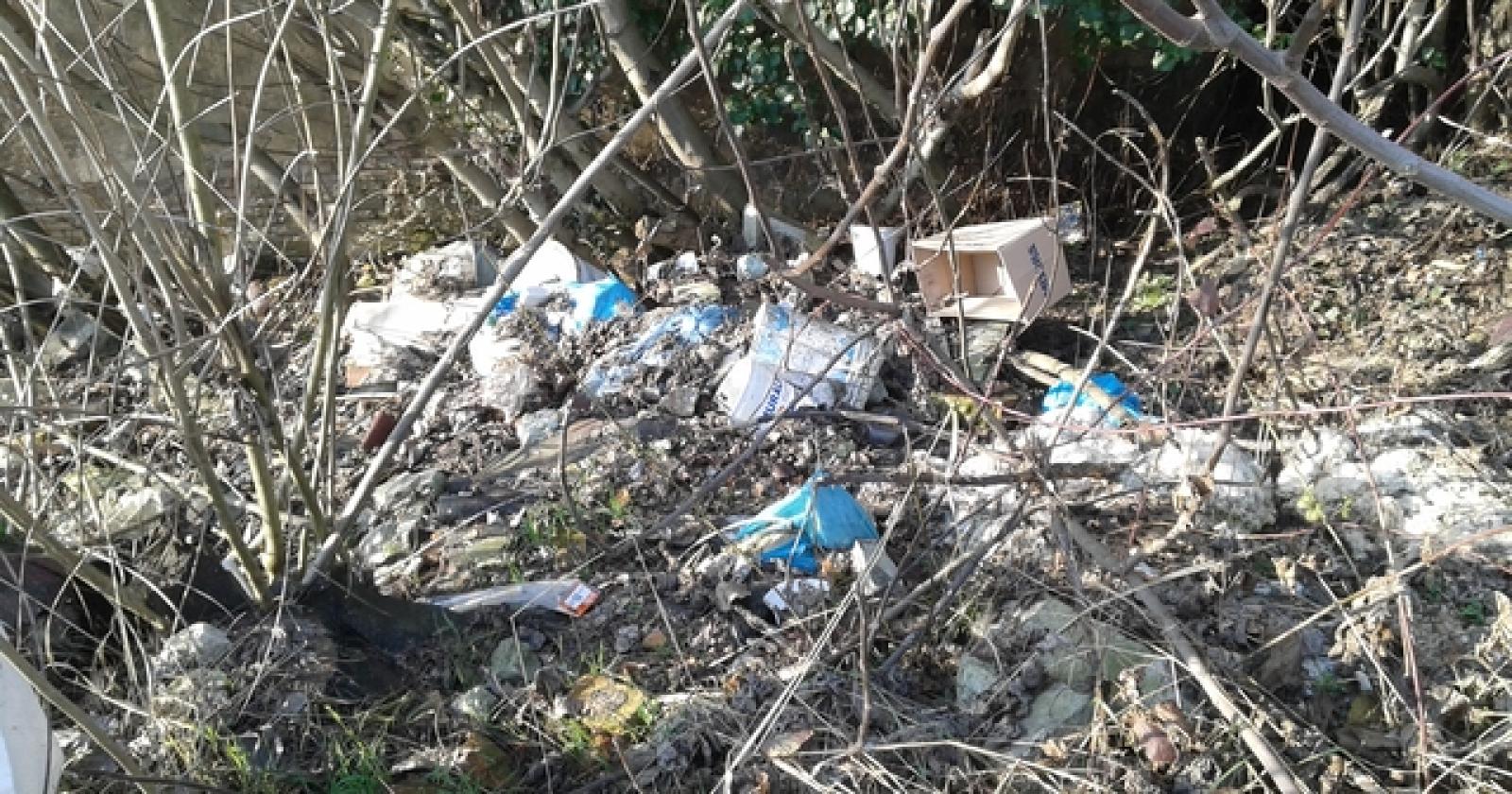 Rifiuti a stienta po (5)