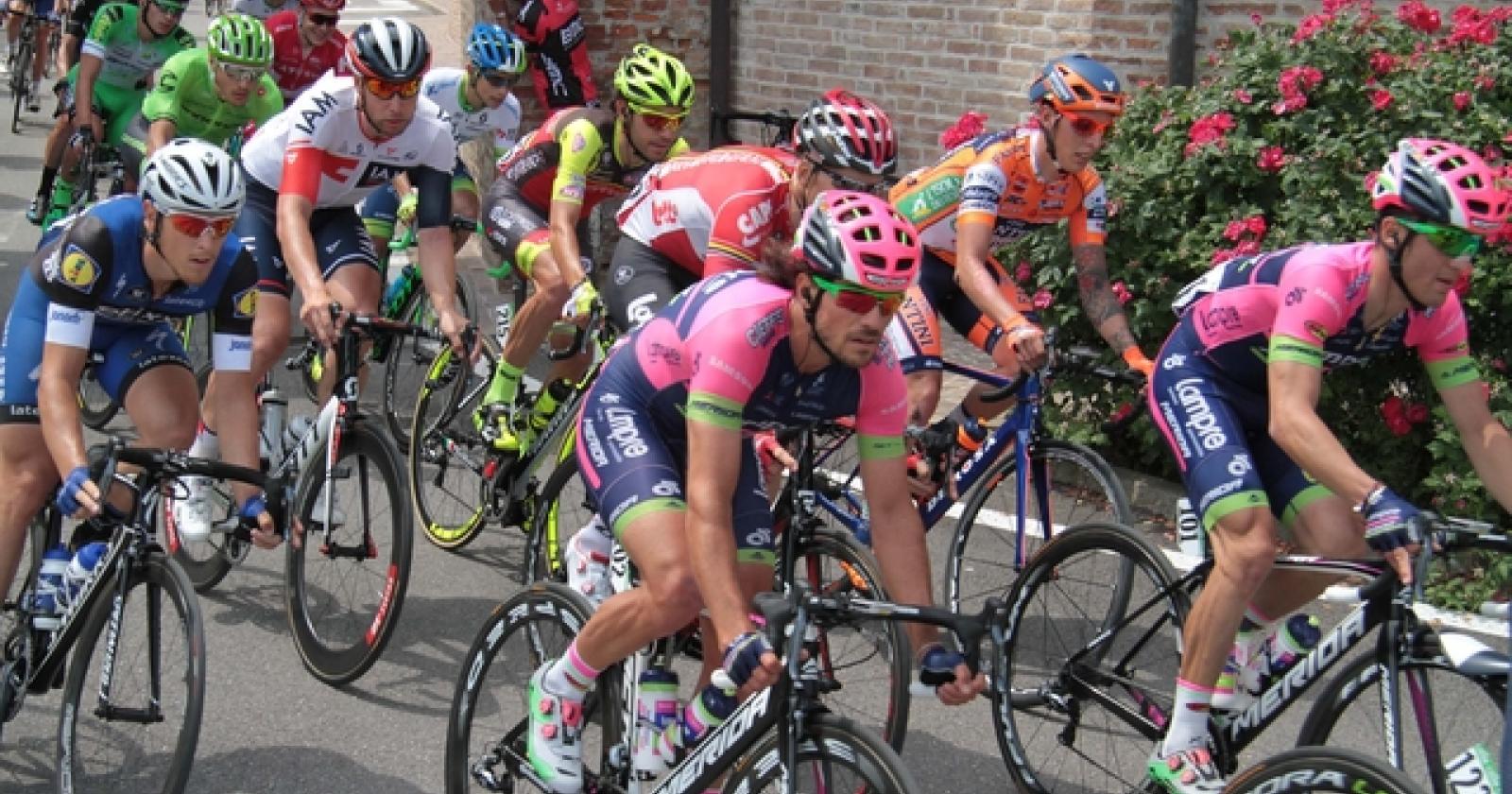 Il 16 ottobre il Giro d'Italia passerà per il Polesine