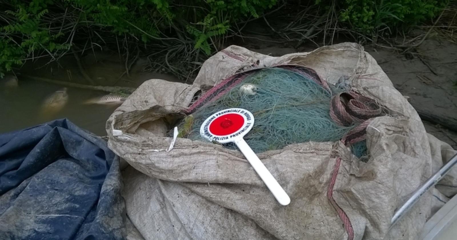 pescatori di frodo rovigo provincia (2)