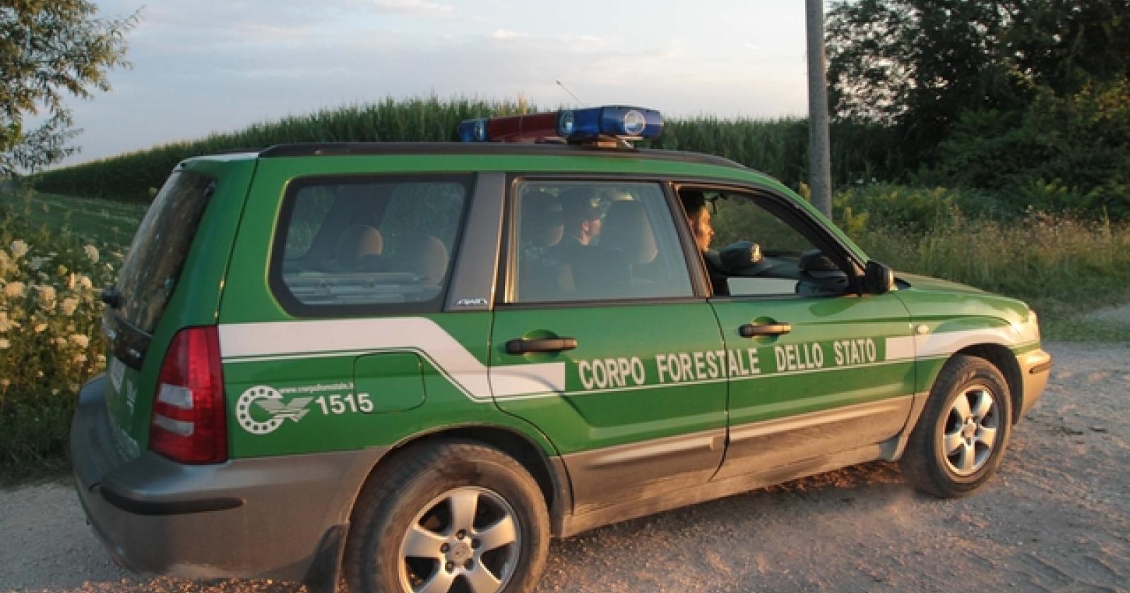 Bosaro campo OGM Guardia Forestali 18