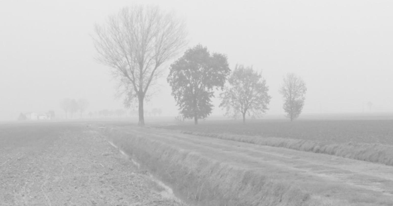 nebbia (4)