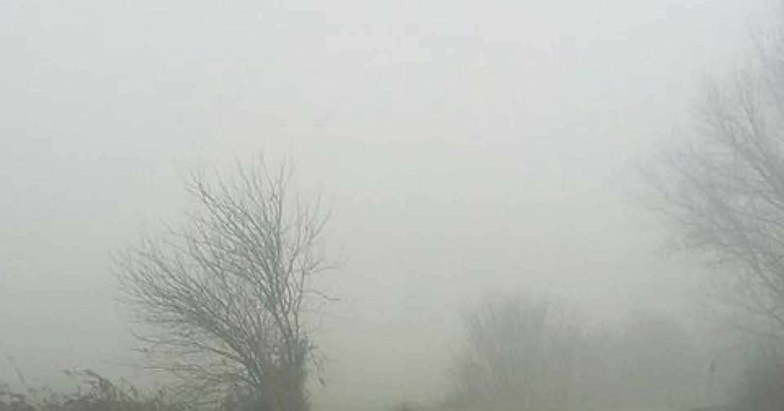 Prevista nebbia per San Silvestro e Capodanno