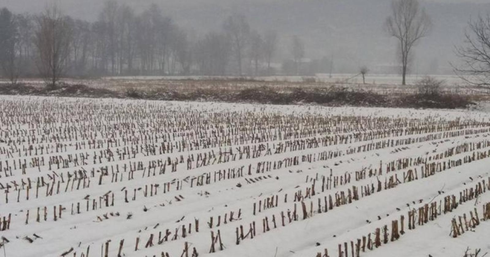 Pronto il Piano neve per affrontare al meglio la stagione 