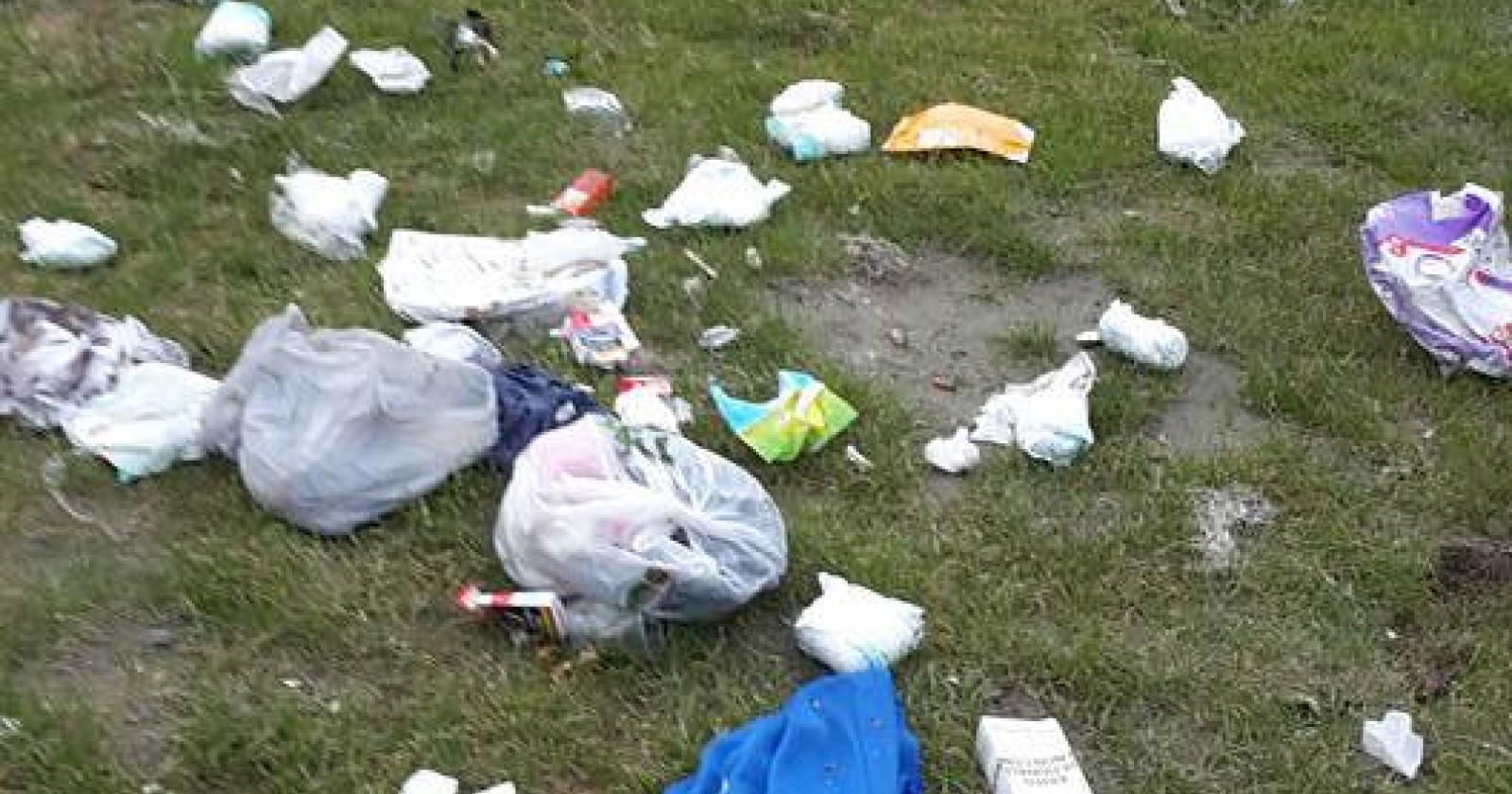 BOTTRIGHE Rifiuti abbadonati in golena (4)