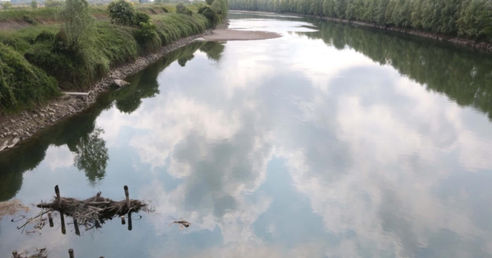 Adige Fiume 12