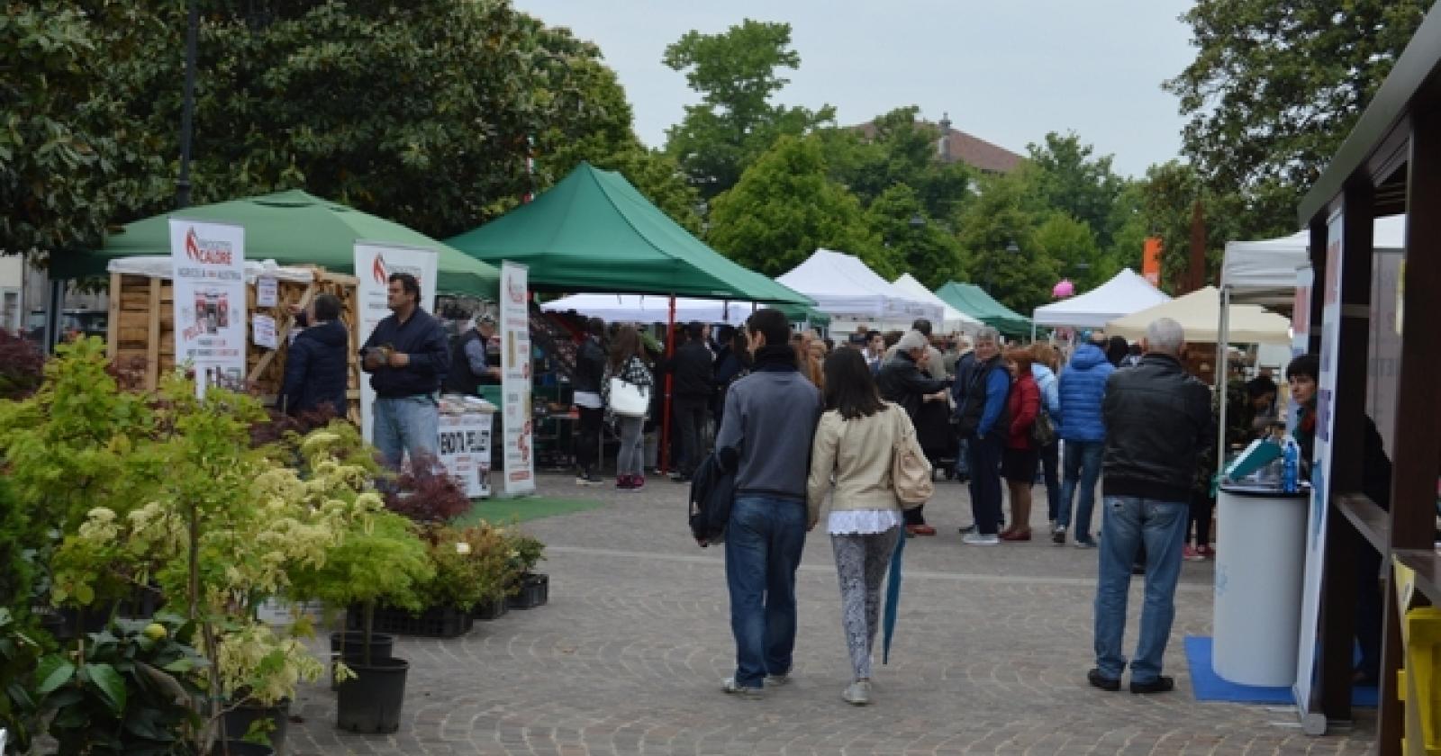 Fiera di San Marco aprile 2017 (16)
