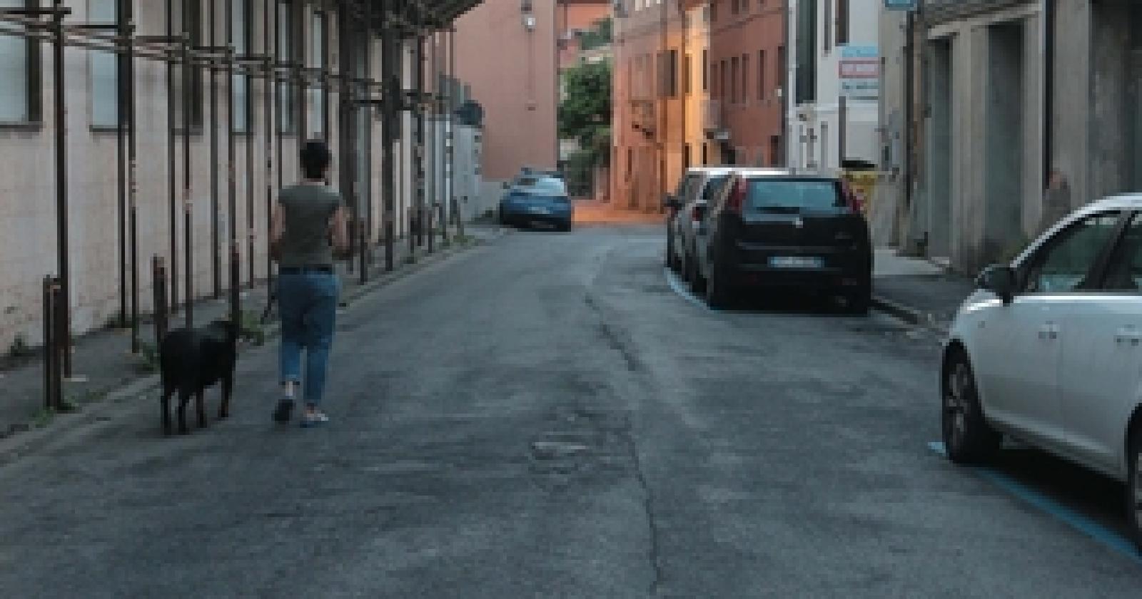 Via Donatoni