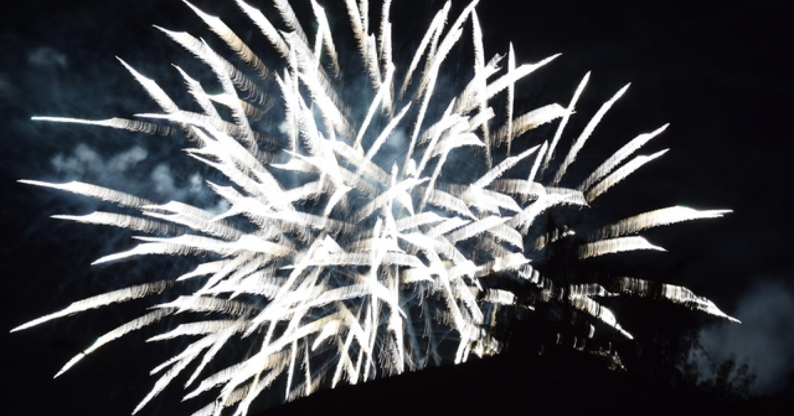 BOTTRIGHE I fuochi d'artificio di Parente (2)