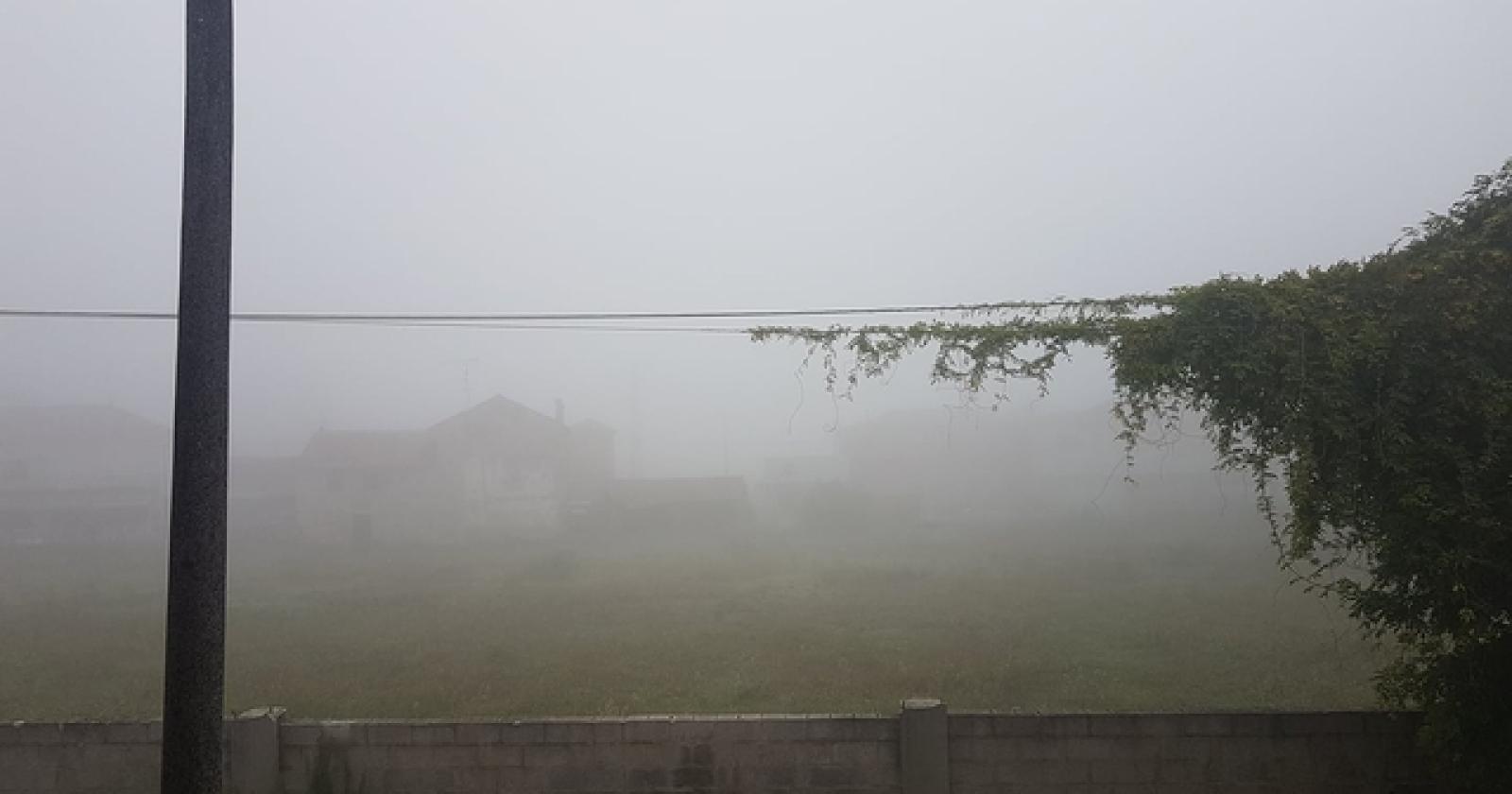 nebbia (8)