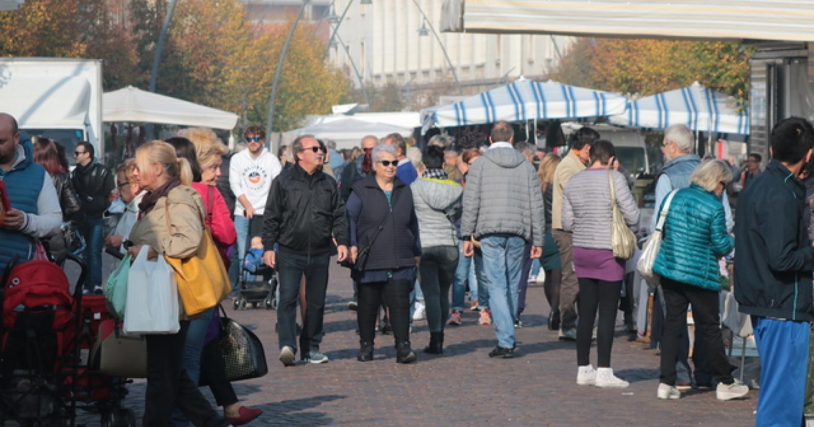 Domani ritorna il mercato di Rovigo