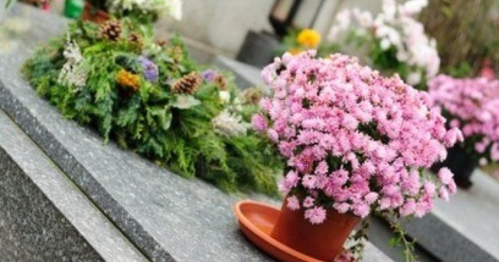 Ruba tra le tombe: quando la scoprono, insulta tutti