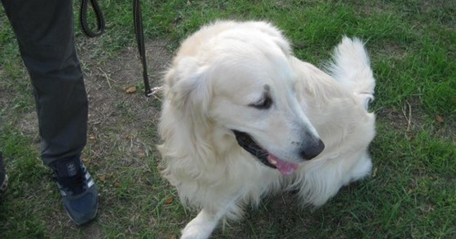 cane[1].JPG
