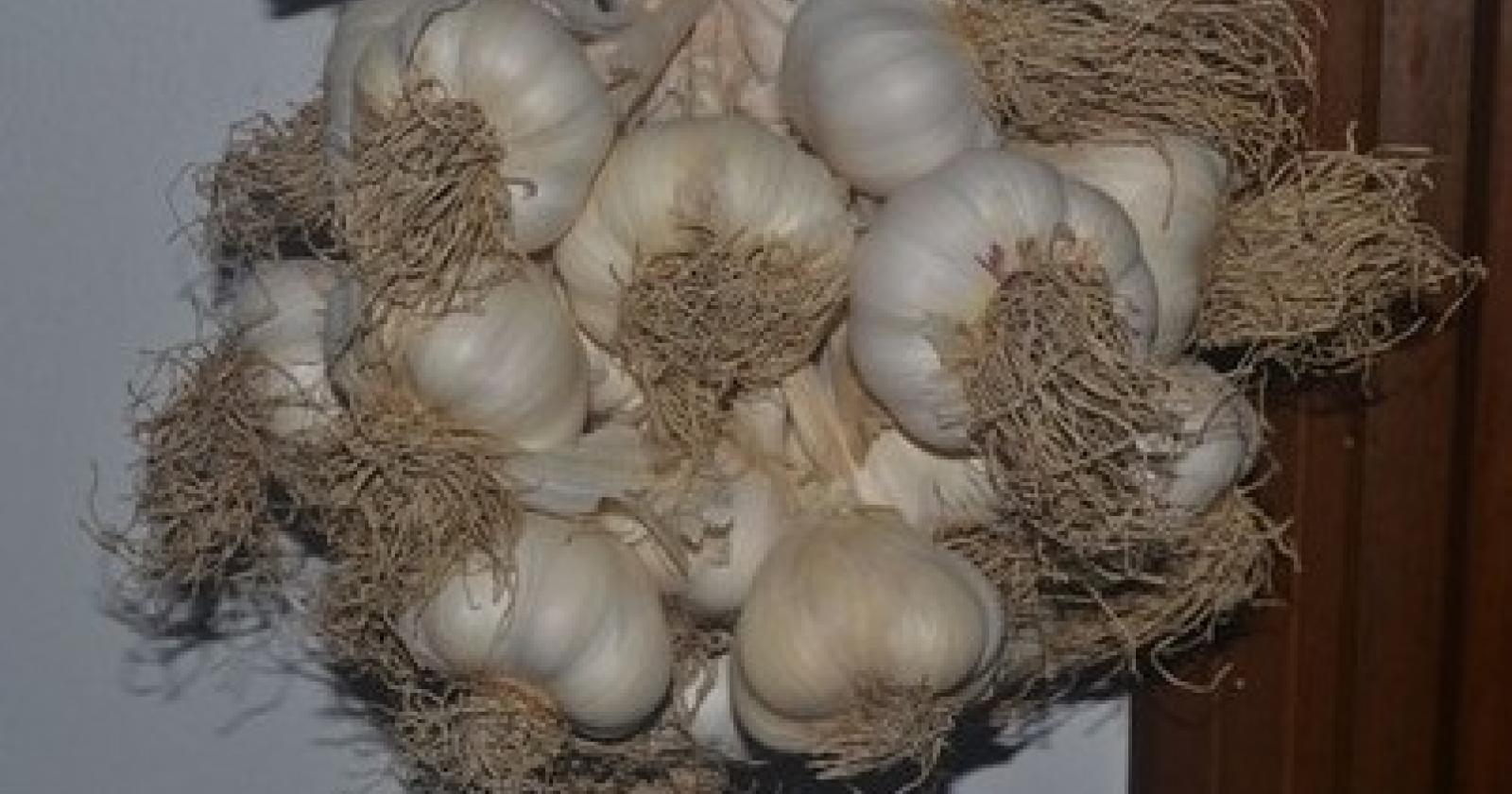 44244