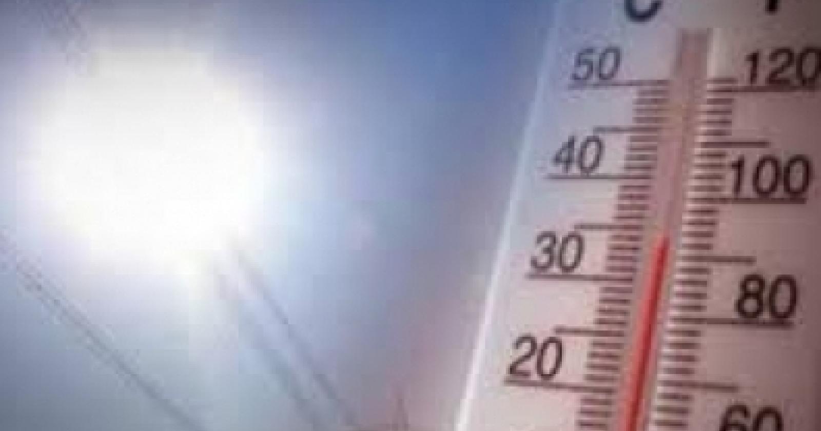 caldo[4].JPG