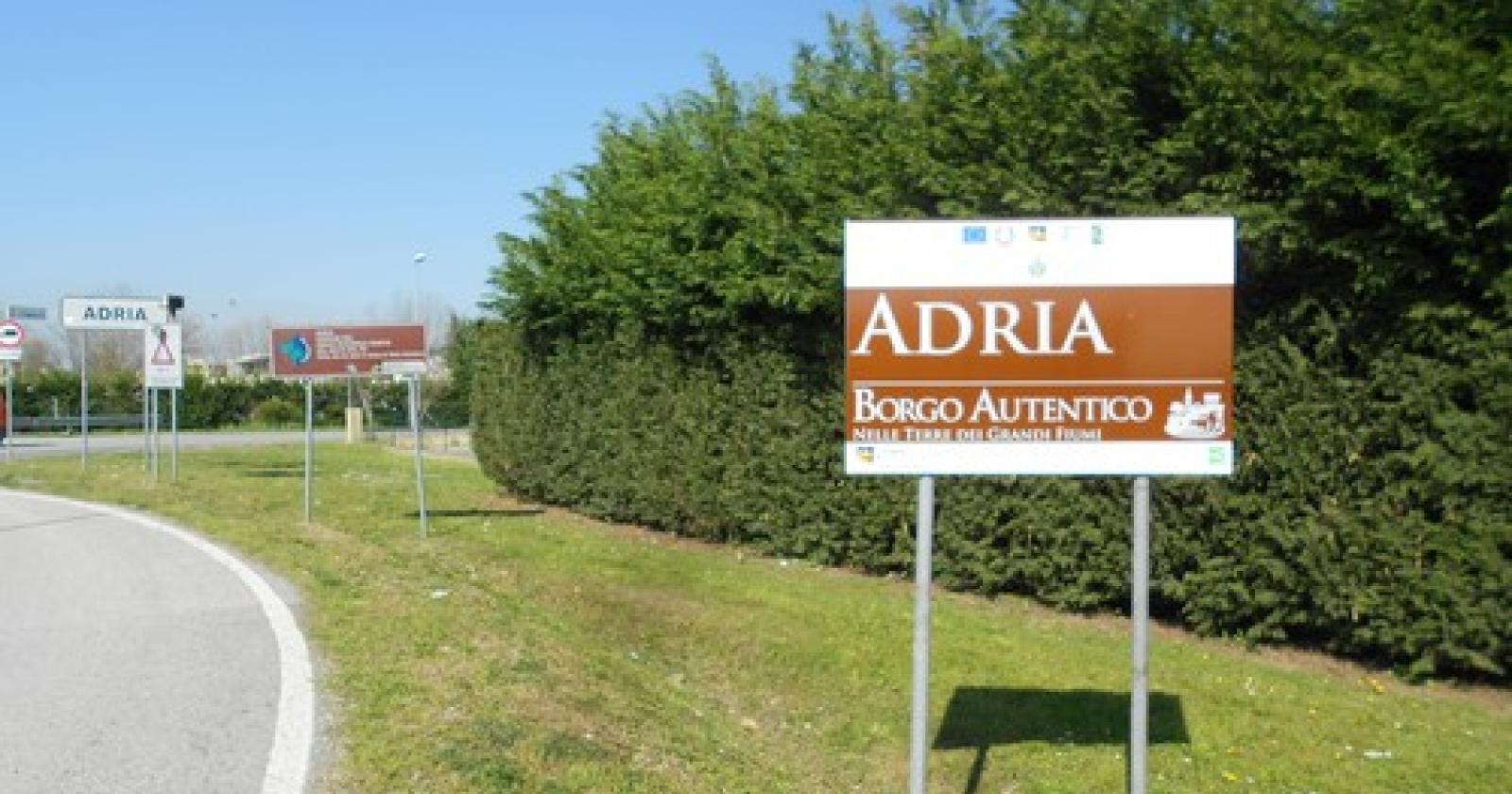 46032