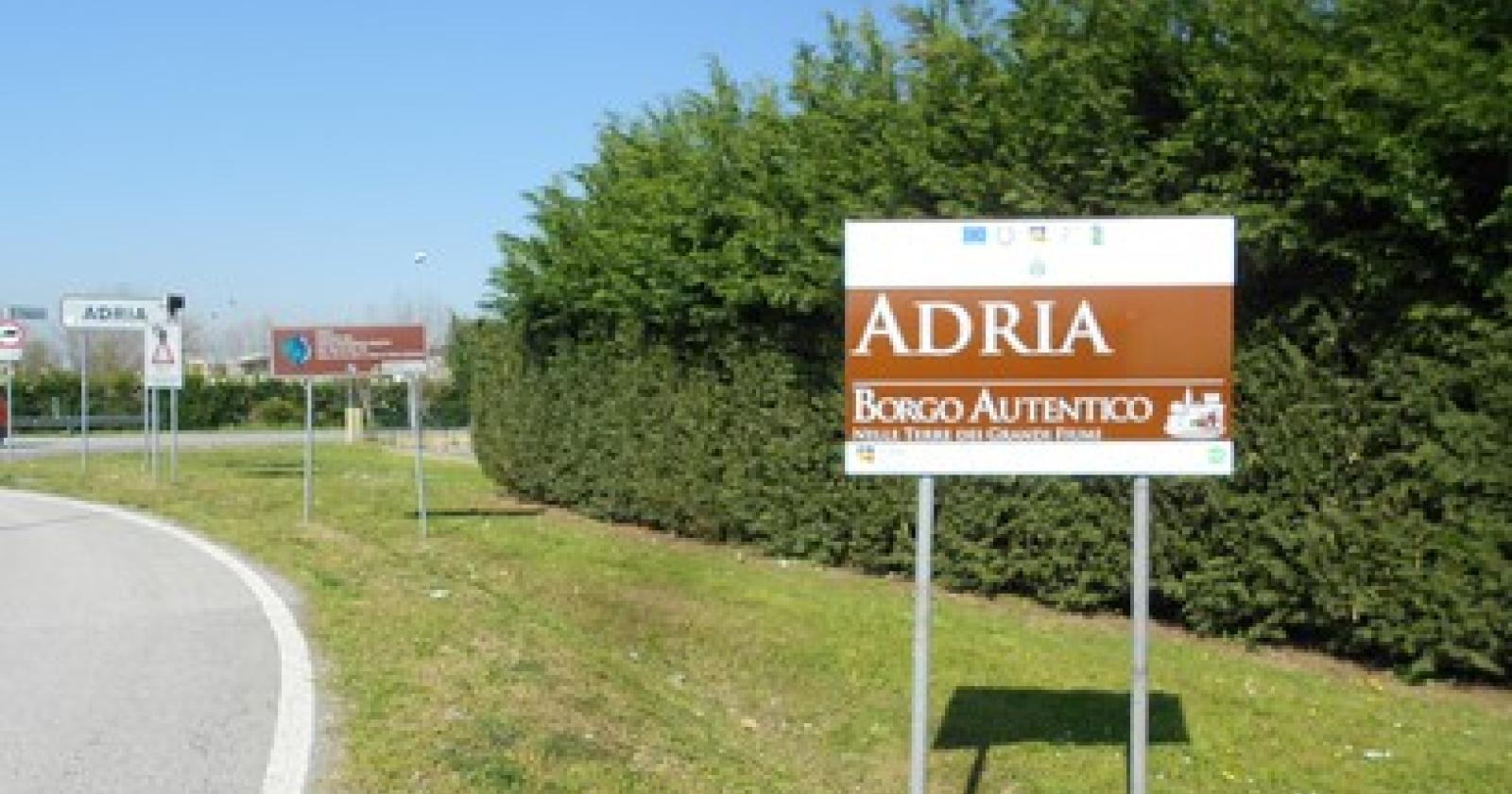 46033