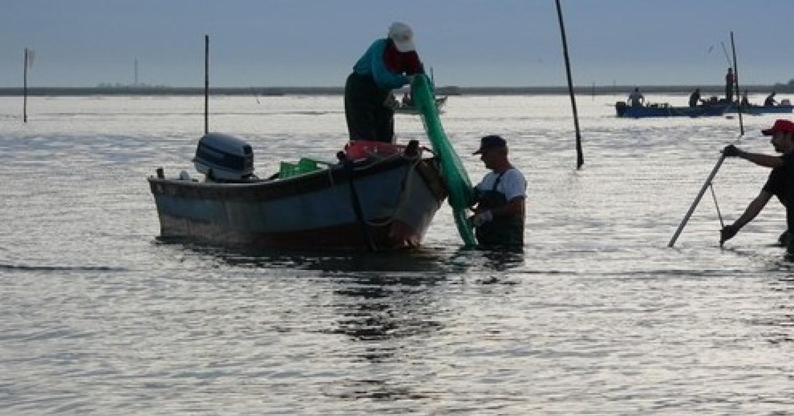pesca[3].JPG