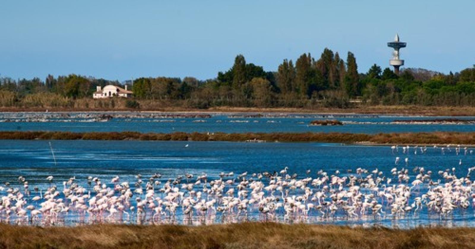 Educazione ambientale, progetto da 80mila euro per il Parco del Delta
