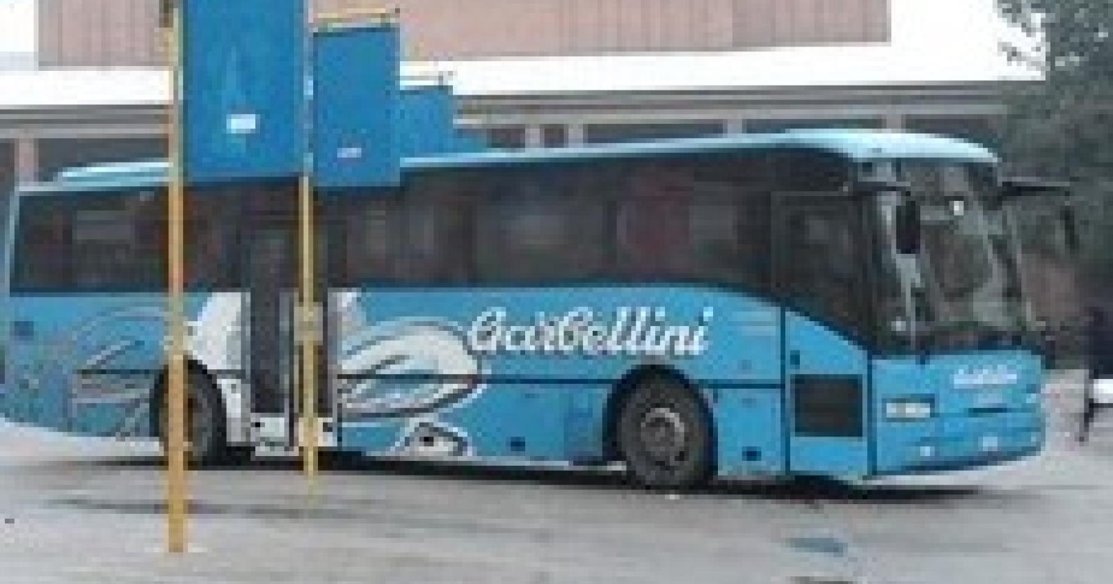 49799