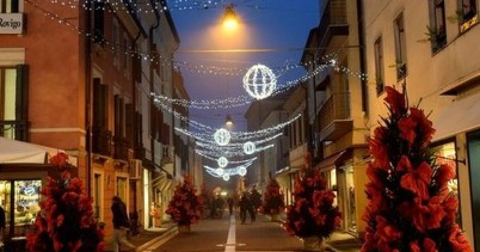 alberi natale rovigo.JPG