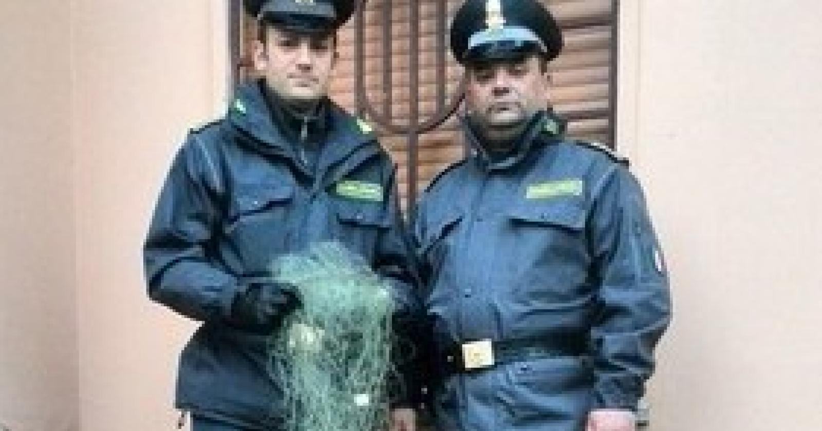 sequestro pesce frassinelle.jpg