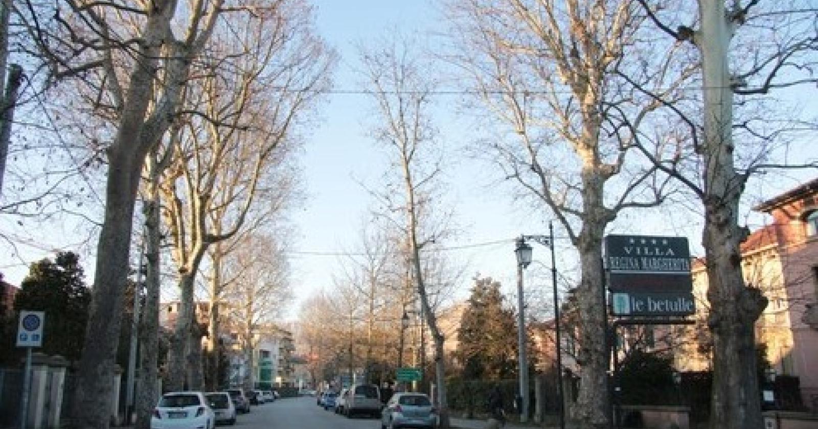 viale regina margherita.JPG