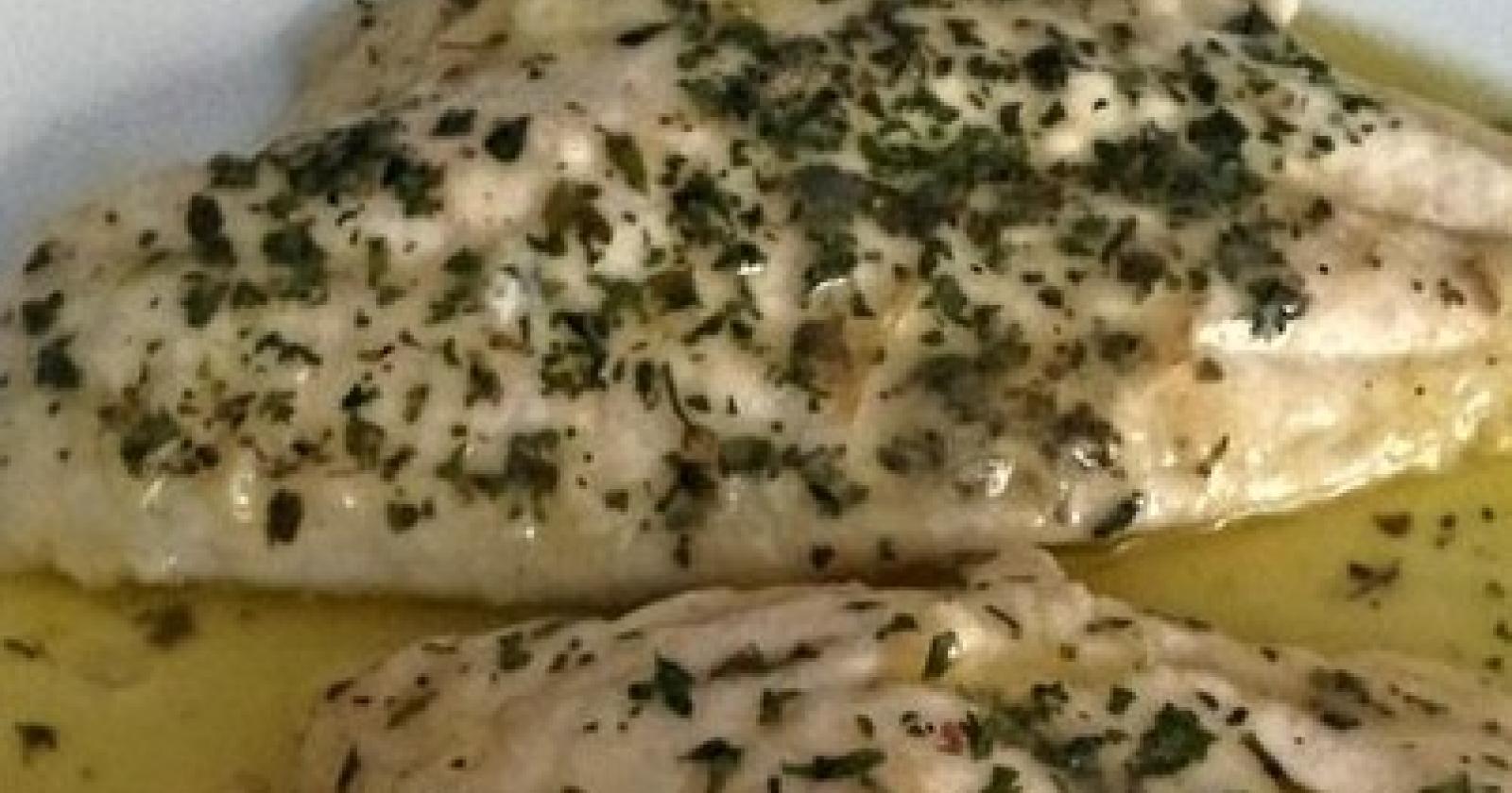 filetti orata vino bianco.jpg