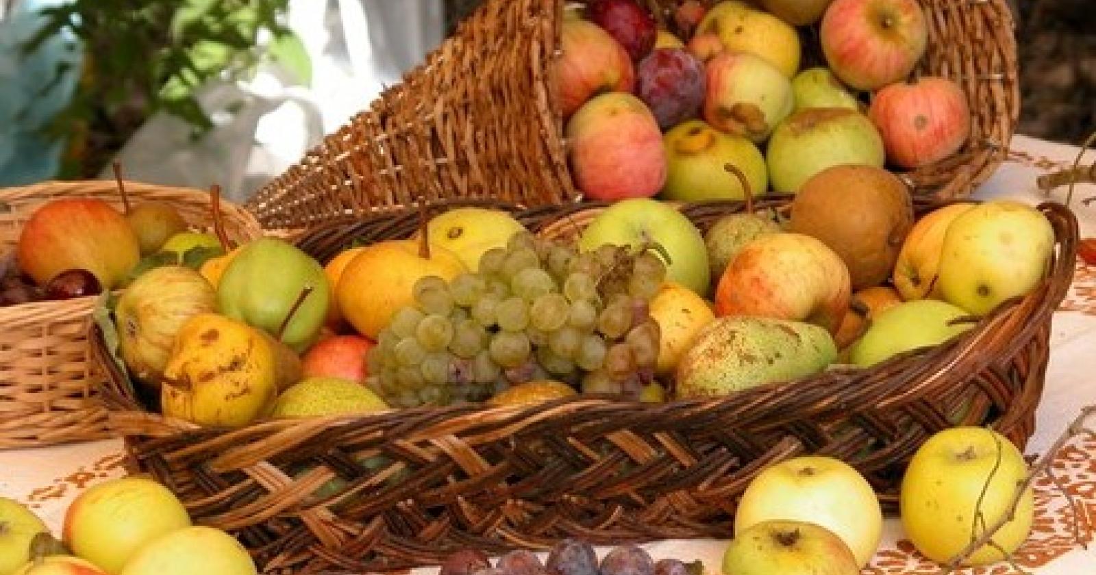 frutta.JPG